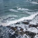 돌고래식당 이미지