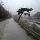 무릉리-11 이미지