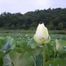 누리지오 이미지