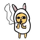오십오 이미지
