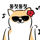 회뜨는박사장 네이버블로그