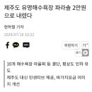 제주도 바가지 개선... 파라솔가격 내렸다 이미지