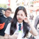 나연 Daum카페