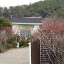 정가네토종닭