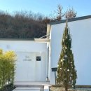 수채화 고급 이미지