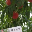 신광농장 이미지