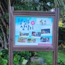 성산마을회관 | 제주 성산일출봉 근처 가볼만한곳 오조포구 인생샷 보장! 10월 제주도 동쪽 감성 가을 여행코스