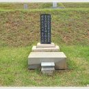 고양화전31 이미지