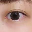 직경 큰 렌즈 세이마이네임 히토미 토프브라운 도희 다크초코 후기