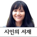 미츠가 문화일보