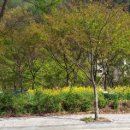 은지가든 이미지