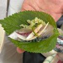 그리운바다성산포민박 | [제주]그리운바다성산포 성산본점 내돈내산 후기