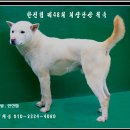 사옥축산 이미지