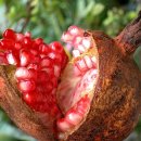 아주 특별한 여름밤 이미지