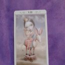 타로와의 치유 여행 이미지