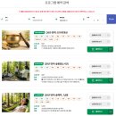 숲 | 국립산림치유원 숲치유 숲해먹 후기