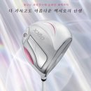 425 | 시흥골프매장 추천 젝시오14 vs 온오프 LP425 여성 드라이버 비교시타후 내돈내산 후기