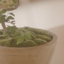 두낫디스터브베이커스경주