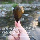 포항농업협동조합장량지점 | [포항] 물놀이 계곡 숨은 명소 죽장 계곡 추천(포항 다슬기 / 고디잡이)