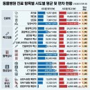 우리동네동물병원