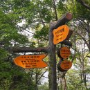 부소산성 낙화암 갈림길 이미지