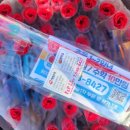 신리초등학교 네이버블로그