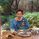 건장이닷컴 이미지