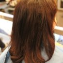 하이크라스 이미지