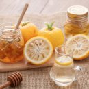 모터플랜 이미지