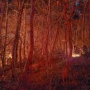 내금마을회관 이미지