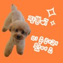 모리몽 이미지