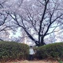 동삭1교 이미지