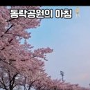 탐닉(TAMNIK) | 러닝쇼츠 제작일기 #구미동락공원