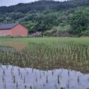 서해장모텔 이미지