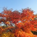 만추의 화창한날 홍천-대명cc서 고운 추억을 ! (2014년.10/29.수-송년라운딩) 이미지