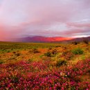 한양상사 이미지