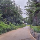 정선파인케어빌 이미지