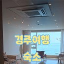 경주감포트라제8
