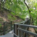 영축산순환산책로(유아숲) 이미지