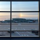 홍인파크 | 경기도 다낭시 첫 방문후기*^^*