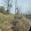 부산근교 애견운동장 &#34; 놀다가개&#34;+바베큐장 이용후기 | 부산,김해,양산,울산