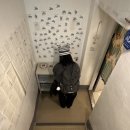 새 | 수원 행궁동 독립서점 투어 브로콜리숲 , 큰새 다녀온 후기