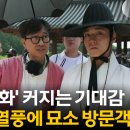 랄르망드코리아 유한회사 | 왕사남 쿠키 어디서 사는지 구매처와 가격 정보