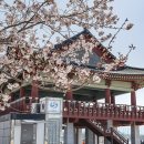 진해해양레포츠센터 이미지