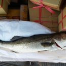 힛트랜드 이미지