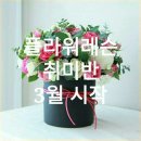 블룸스앤드 이미지
