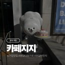 모닝클럽 분당센타 | 분당 브런치 맛집 아이와 오기 좋은 대형카페 카페지지 후기