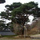 유석사