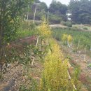 순서농장 이미지