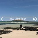 씨유제주금능해변점 | 제주도 협재해수욕장 금능해수욕장 물때 실패 후기